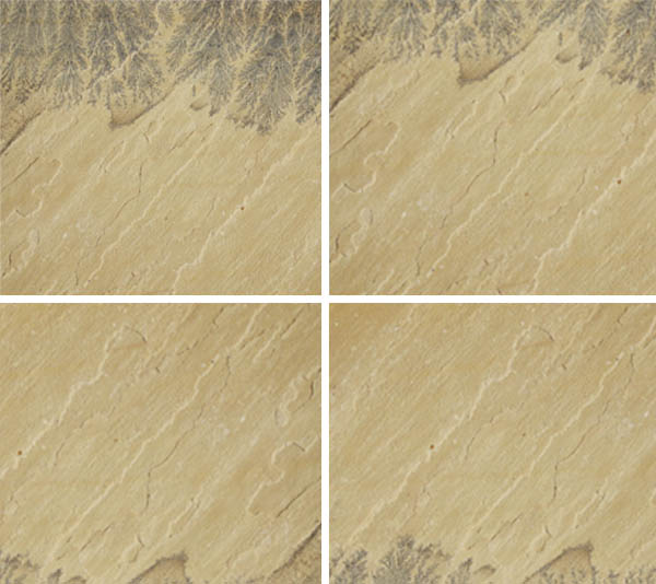 Mind Fossil Natural Sandstone